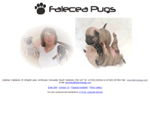 Tablet Screenshot of faleceapugs.com